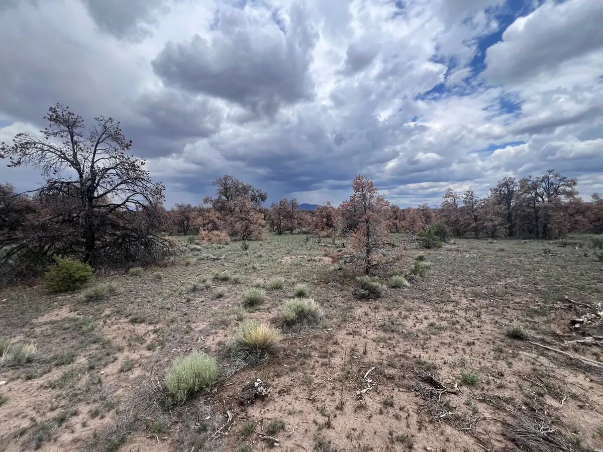 0, Quemado, NM 87829 - #1