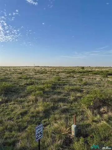 1789 Moreland Rd, Portales, NM 88130