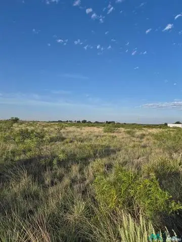 1789 Moreland Rd, Portales, NM 88130 - #3