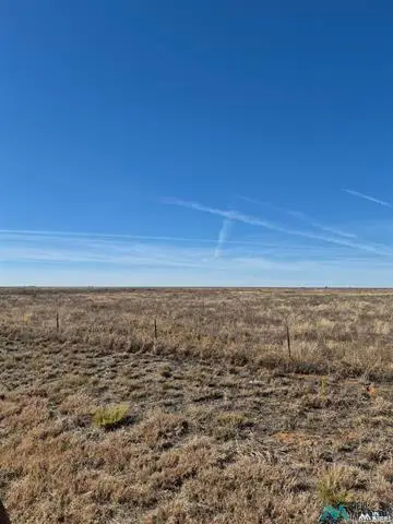 5950 206 Highway, Pep, NM 88126 - #1