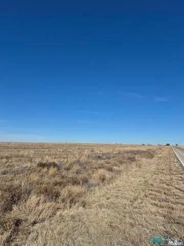 5950 206 Highway, Pep, NM 88126 - #3