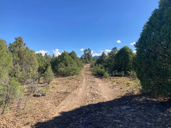 1 Tbd Ponderosa, Chama, NM 87520