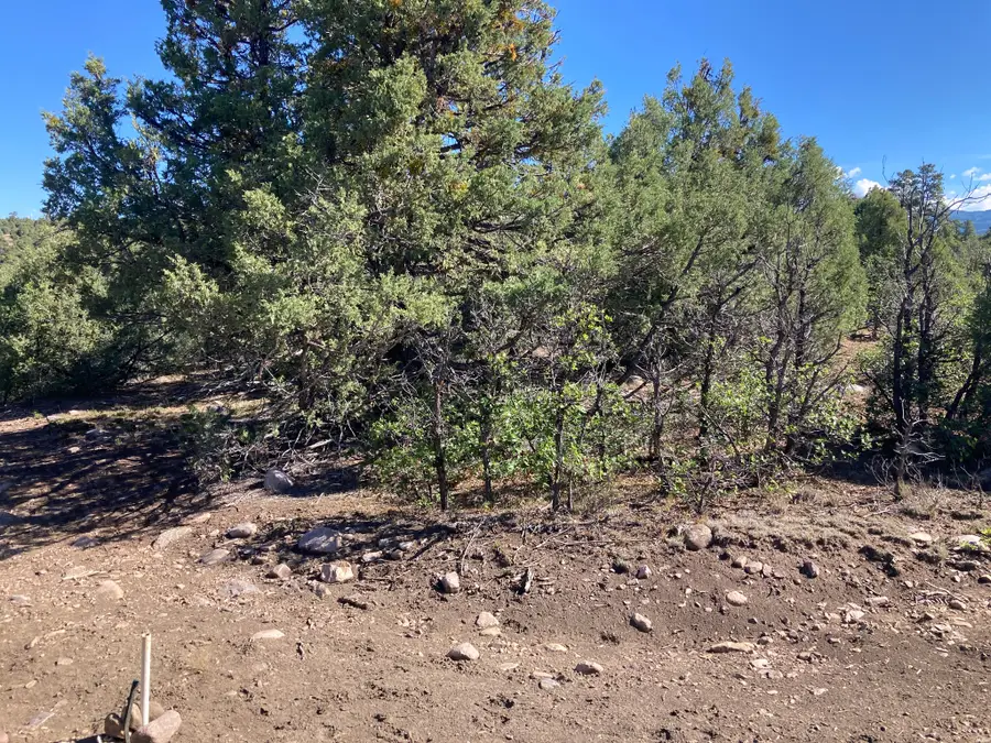 1 Tbd Ponderosa, Chama, NM 87520 - #2