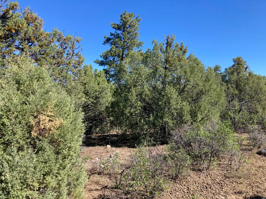 1 Tbd Ponderosa, Chama, NM 87520 - #3