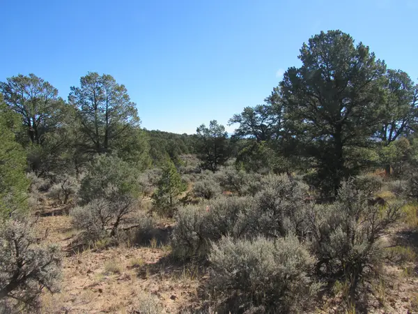 0, Tres Piedras, NM 87577