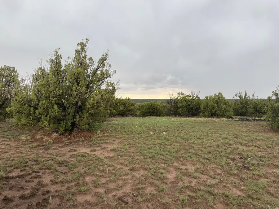 0, Quemado, NM 87829 - #3