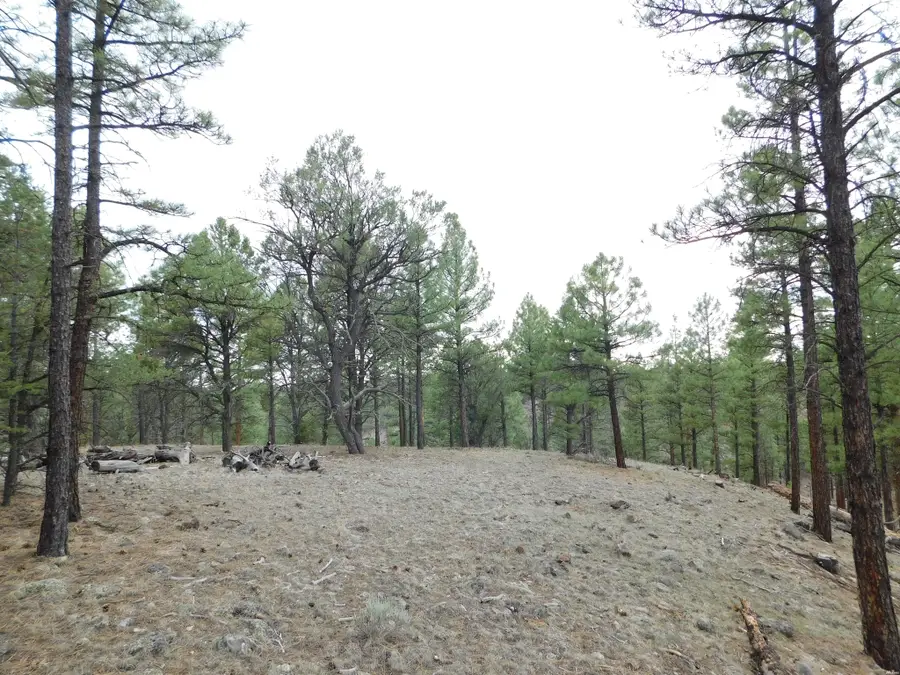 0, Quemado, NM 87829 - #3