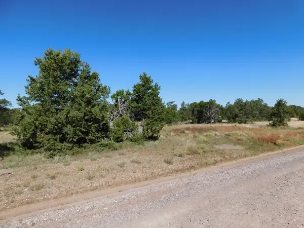 43 Brook Blvd, Quemado, NM 87829