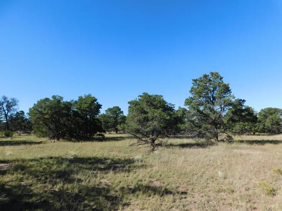 43 Brook Blvd, Quemado, NM 87829 - #3