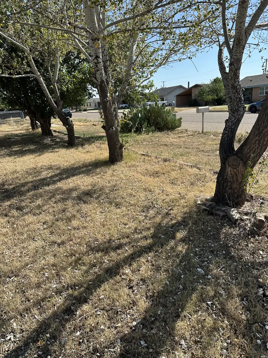 1702 7th St, Tucumcari, NM 88401 - #3