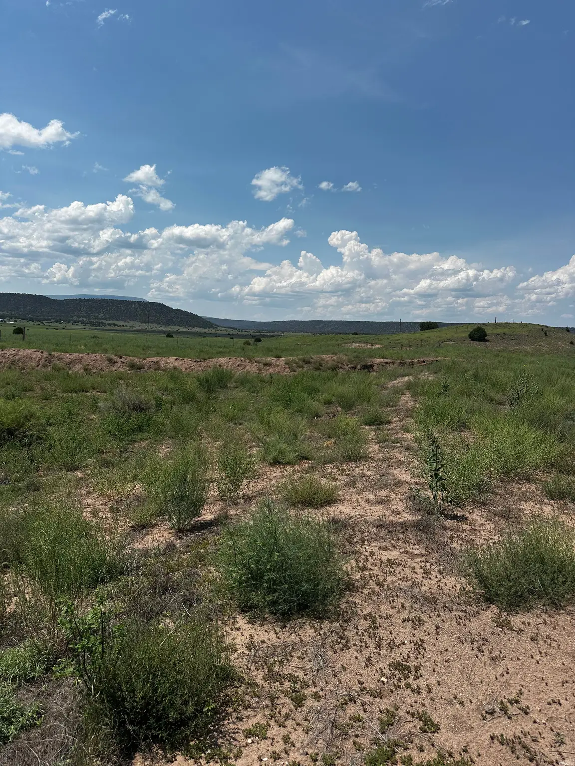 1 Escudilla Dr, Quemado, NM 87829 - #1