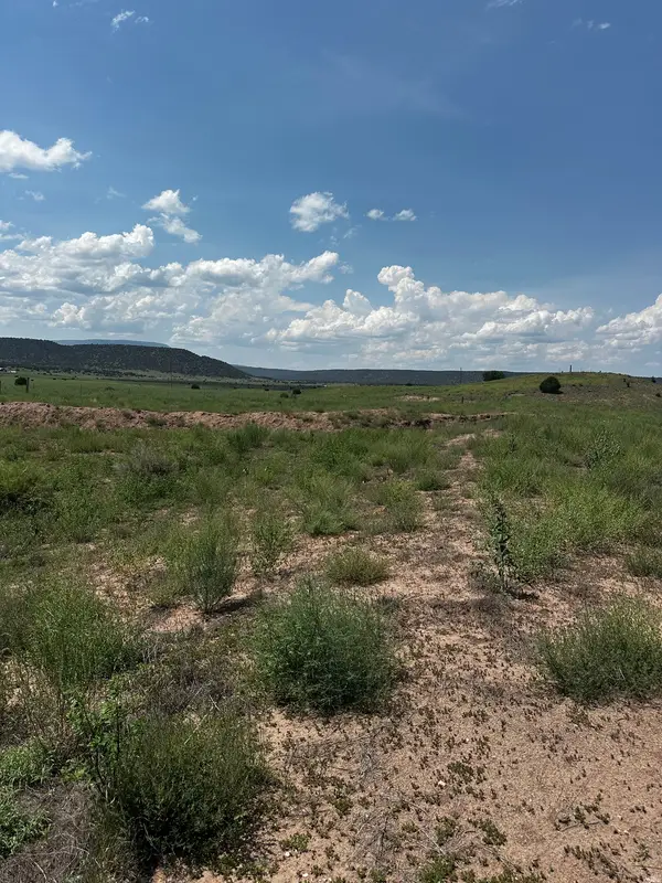 1 Escudilla Dr, Quemado, NM 87829