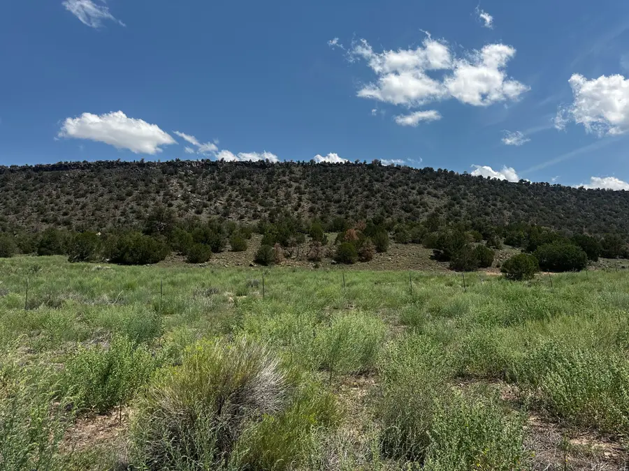 1 Escudilla Dr, Quemado, NM 87829 - #2