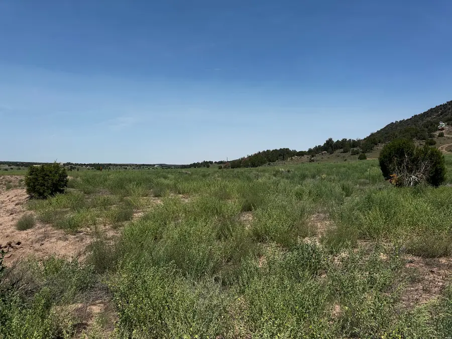1 Escudilla Dr, Quemado, NM 87829 - #3