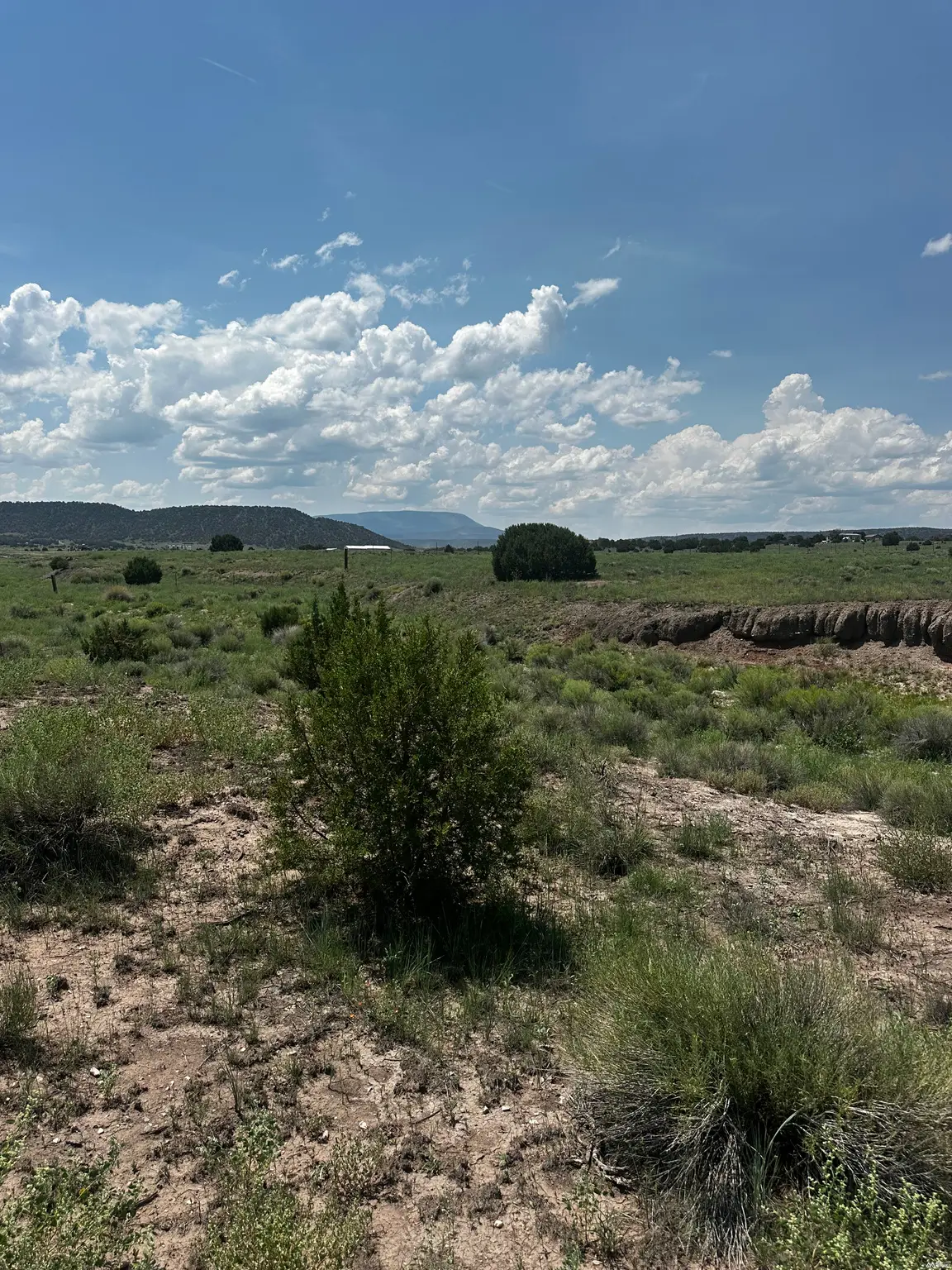 1 Airport, Quemado, NM 87829 - #1