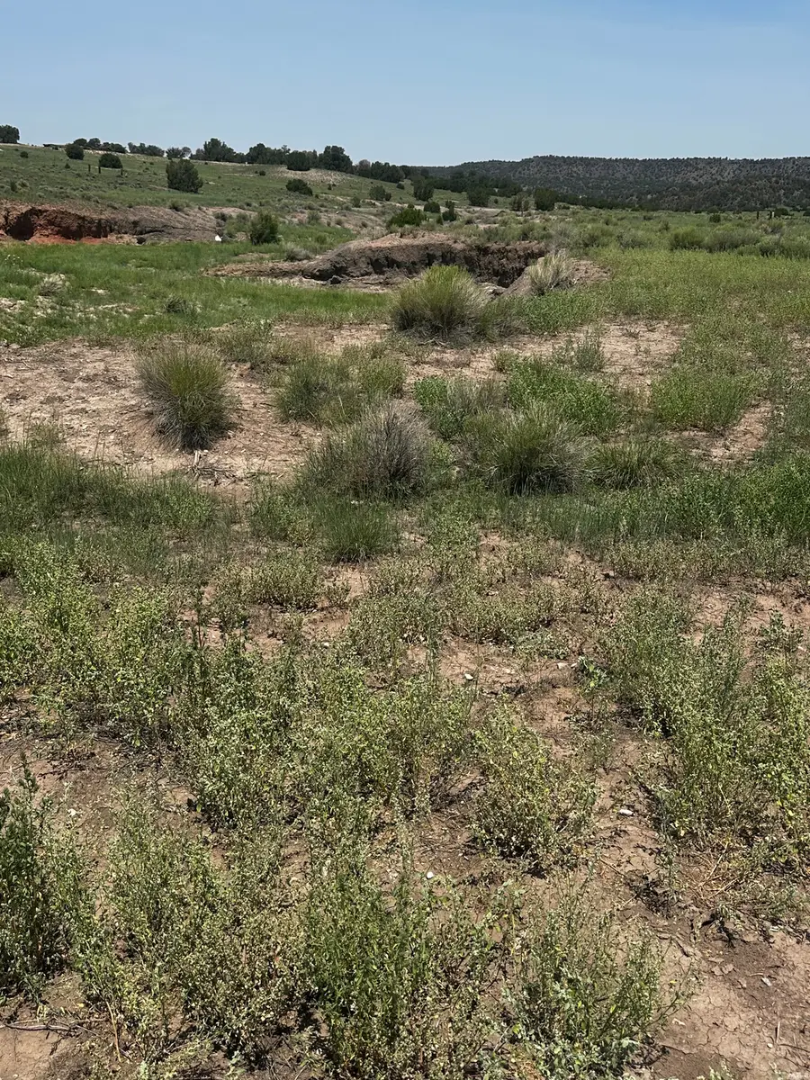 1 Airport, Quemado, NM 87829 - #2