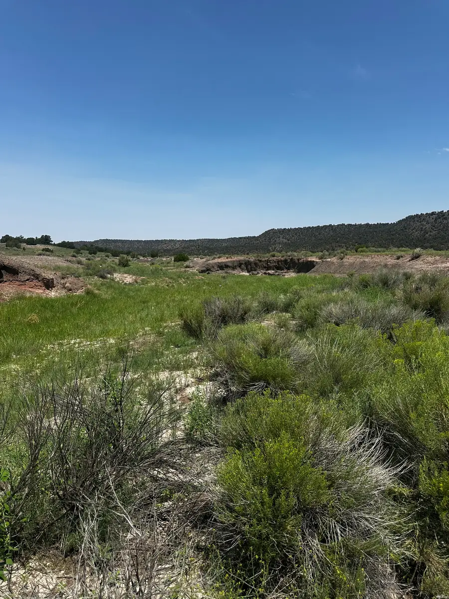 1 Airport, Quemado, NM 87829 - #3