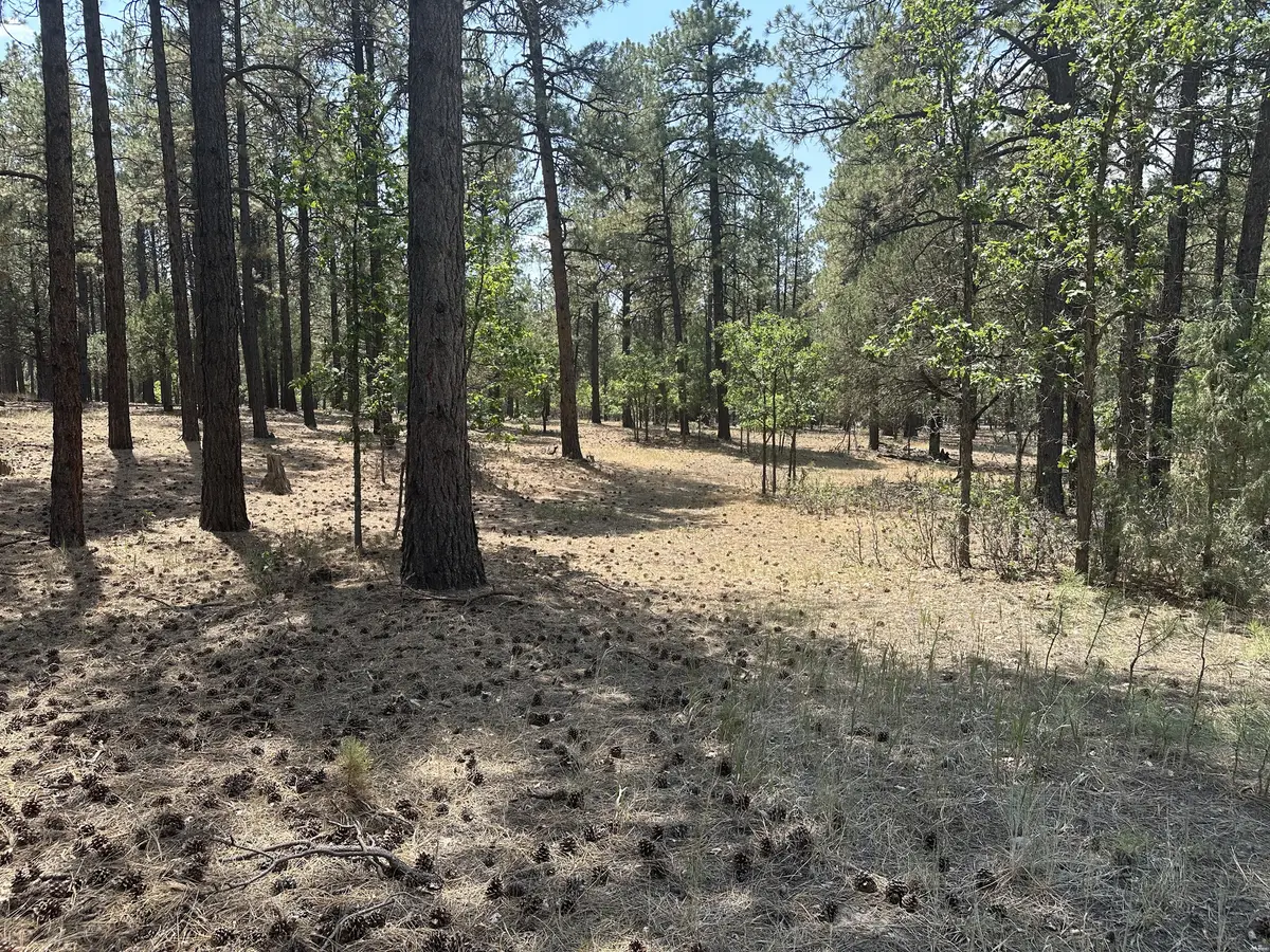 0, Chama, NM 87520 - #1