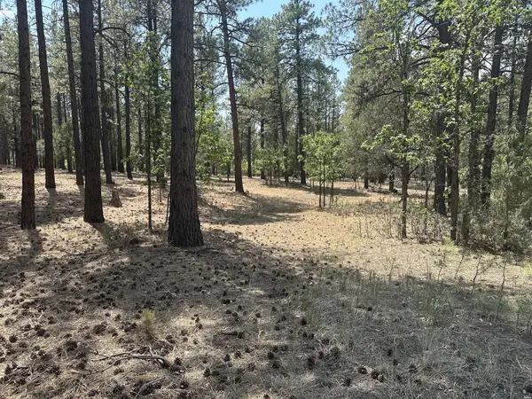 0, Chama, NM 87520