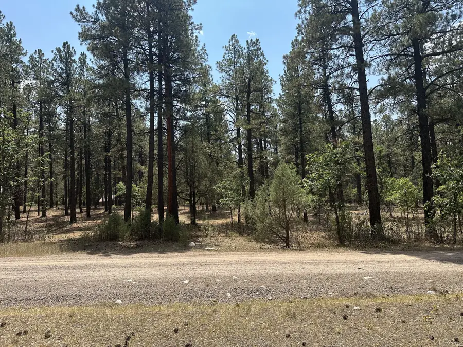 0, Chama, NM 87520 - #2