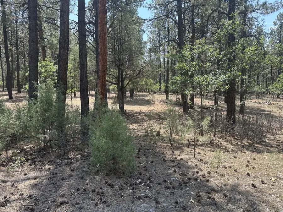 0, Chama, NM 87520 - #3