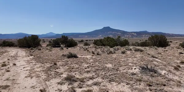 29 State Road 96 Rd, Abiquiu, NM 87510