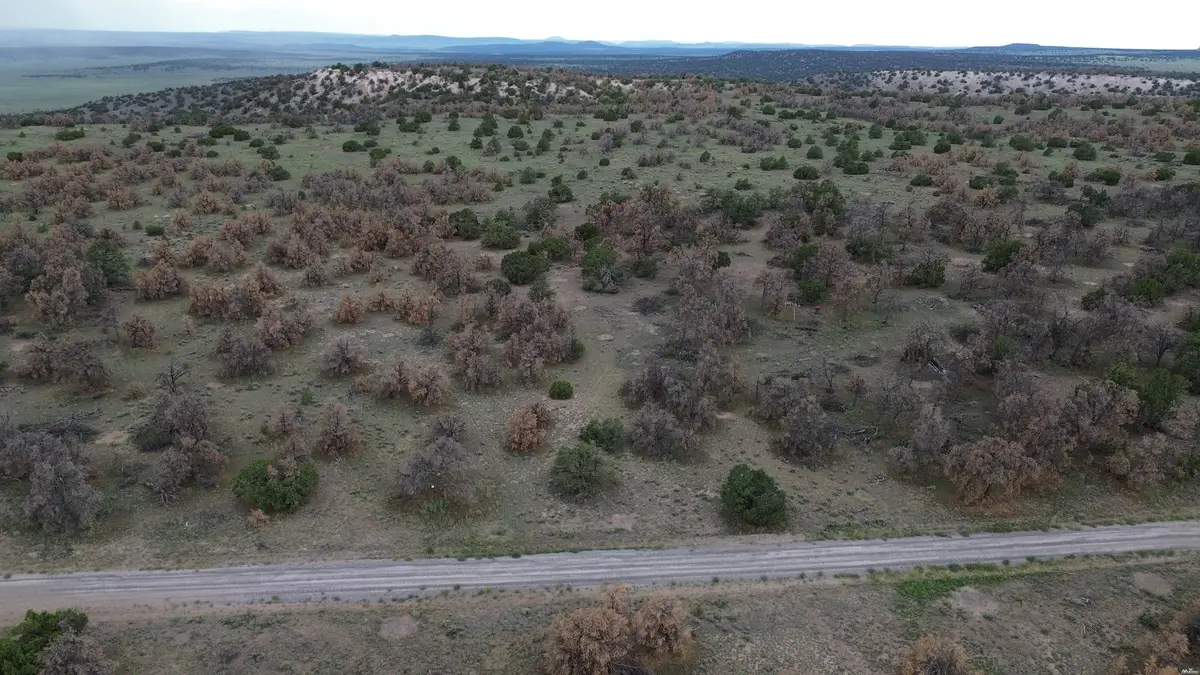 15 River Ln, Quemado, NM 87829 - #1