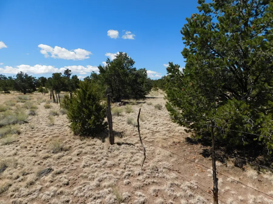 15 River Ln, Quemado, NM 87829 - #3