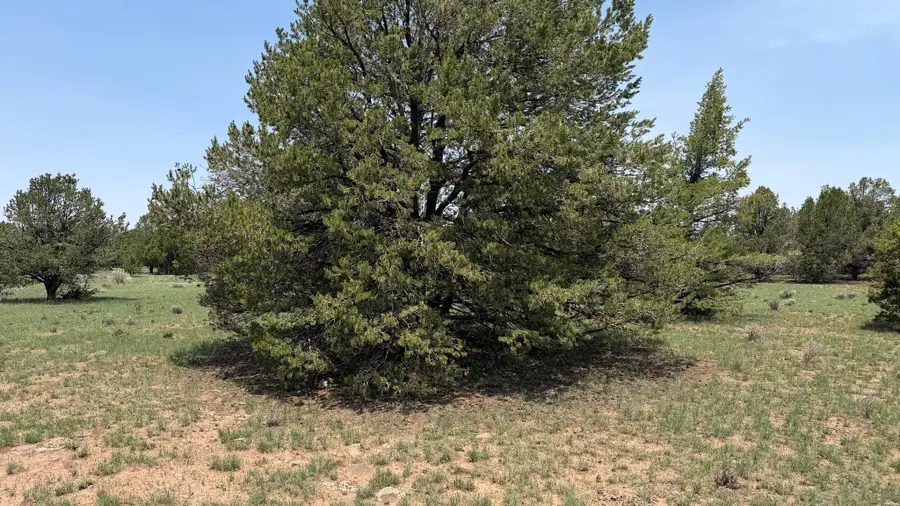 7 Gila Dr, Quemado, NM 87829 - #2