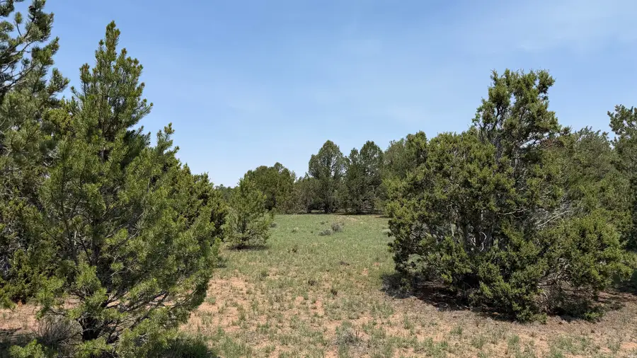 7 Gila Dr, Quemado, NM 87829 - #3