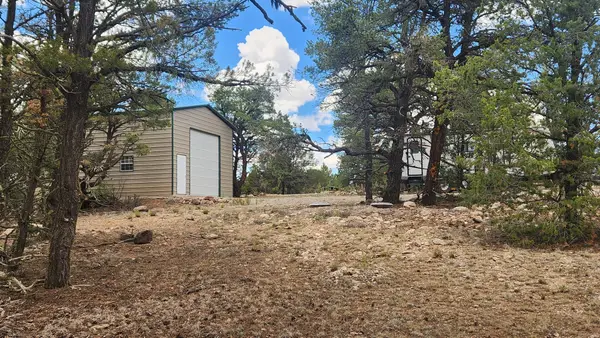 56 El Caso Rd, Quemado, NM 87829