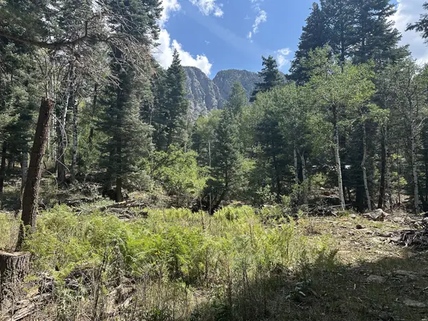 0, Chama, NM 87520
