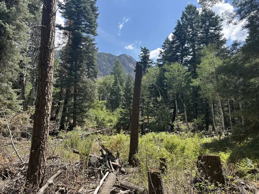 0, Chama, NM 87520 - #2