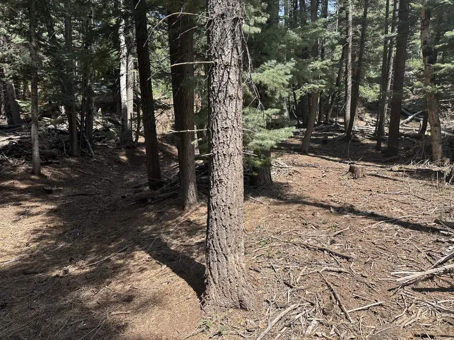 0, Chama, NM 87520 - #3