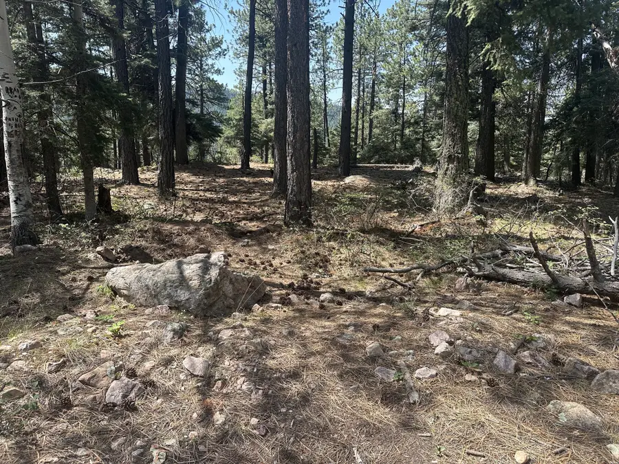 0 Hwy, Chama, NM 87520 - #2