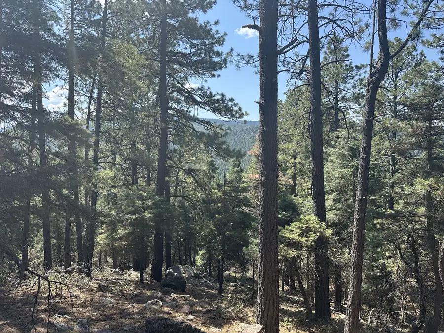 0 Hwy, Chama, NM 87520 - #3