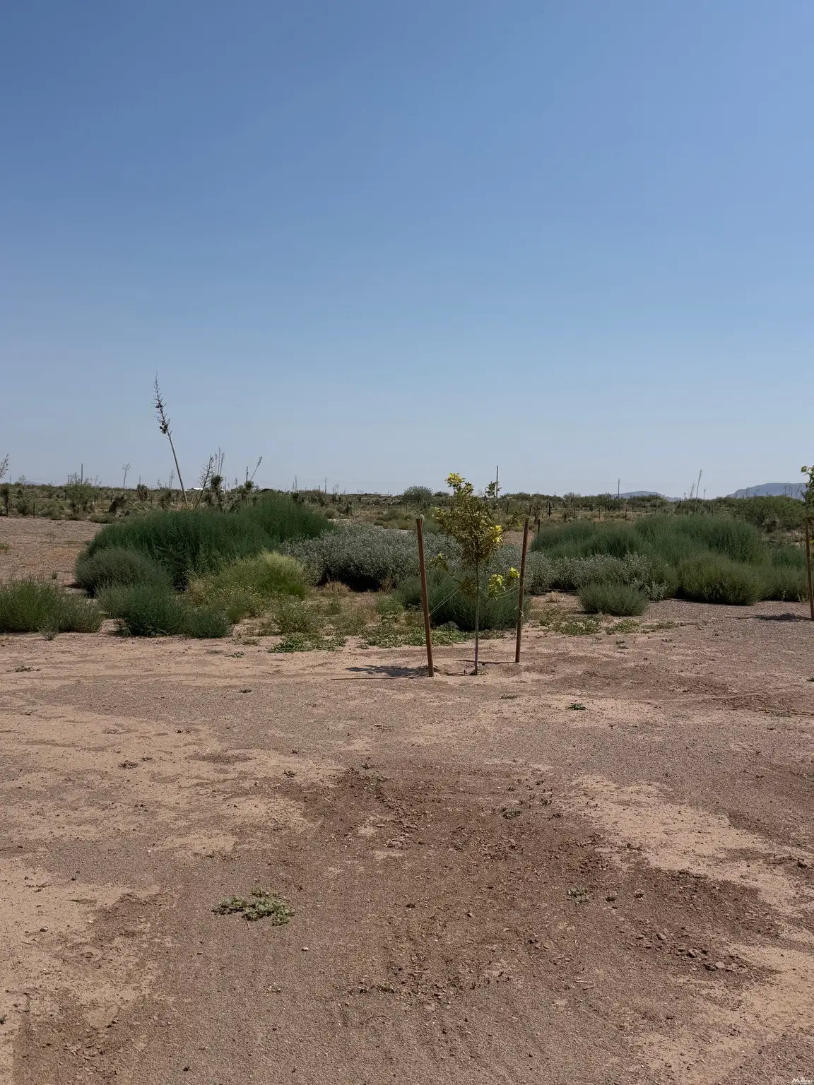 9945 Majestic View Rd Sw Rd, Deming, NM 88030 - #1