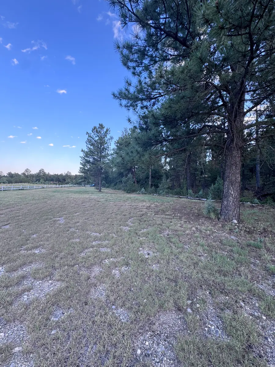 26 Sacramento Dr, Timberon, NM 88350 - #2