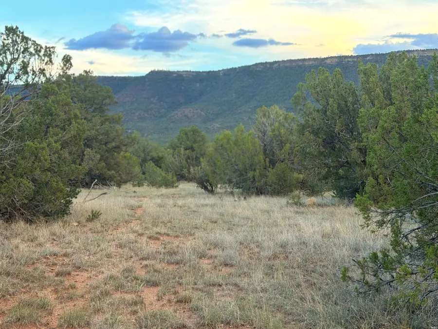 19 Rocky Bluffs, Ilfeld, NM 87538 - #2
