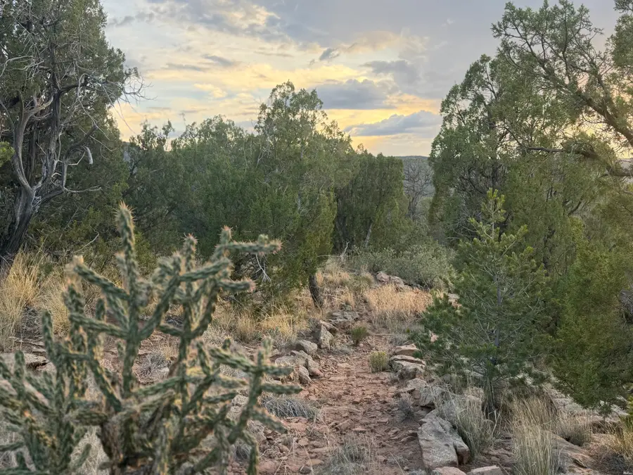 19 Rocky Bluffs, Ilfeld, NM 87538 - #3