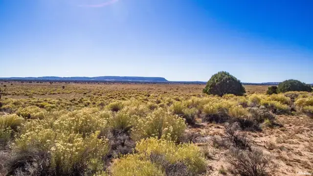 0, Pinehill, NM 87357 - #1