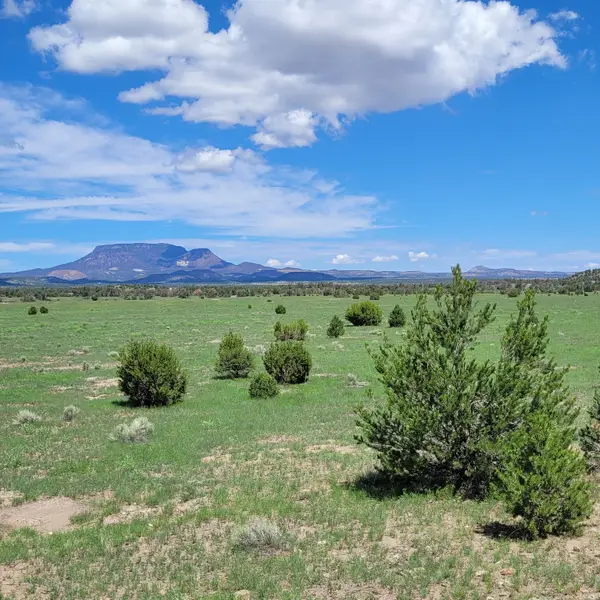 1 Frontier Trail Lots 17 And 18 Trl, Datil, NM 87821