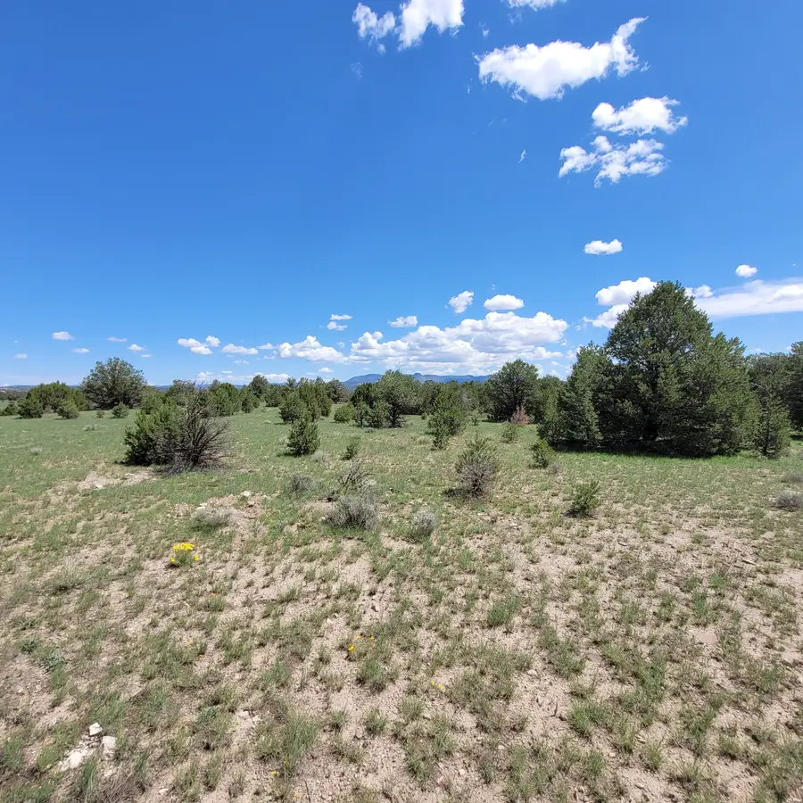 1 Frontier Trail Lots 17 And 18 Trl, Datil, NM 87821 - #3