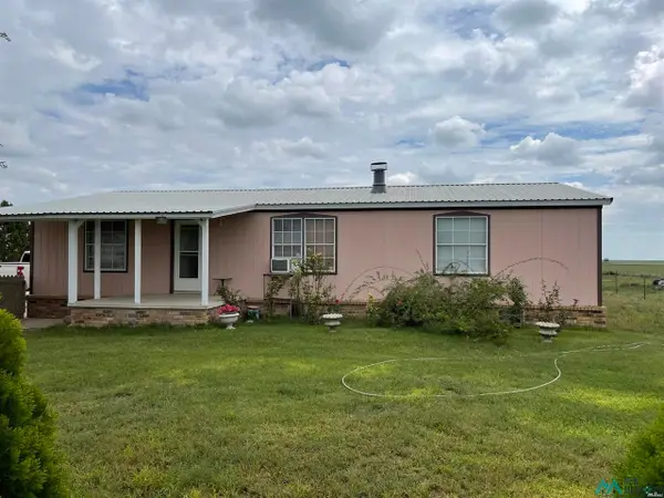 767 Roosevelt Rd, Portales, NM 88130