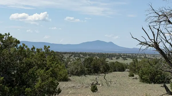 22 Running Bear Cir, Quemado, NM 87829