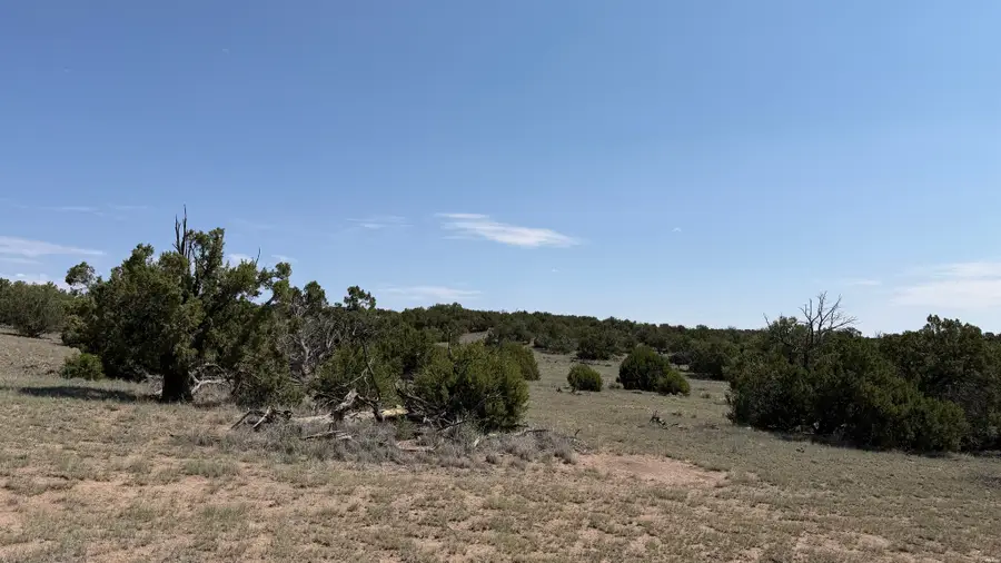 22 Running Bear Cir, Quemado, NM 87829 - #2