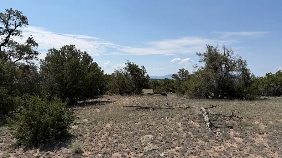 22 Running Bear Cir, Quemado, NM 87829 - #3