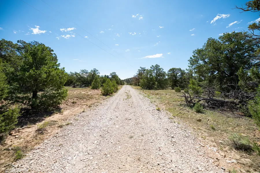36 La Tinaja Trl, Pinehill, NM 87357 - #3