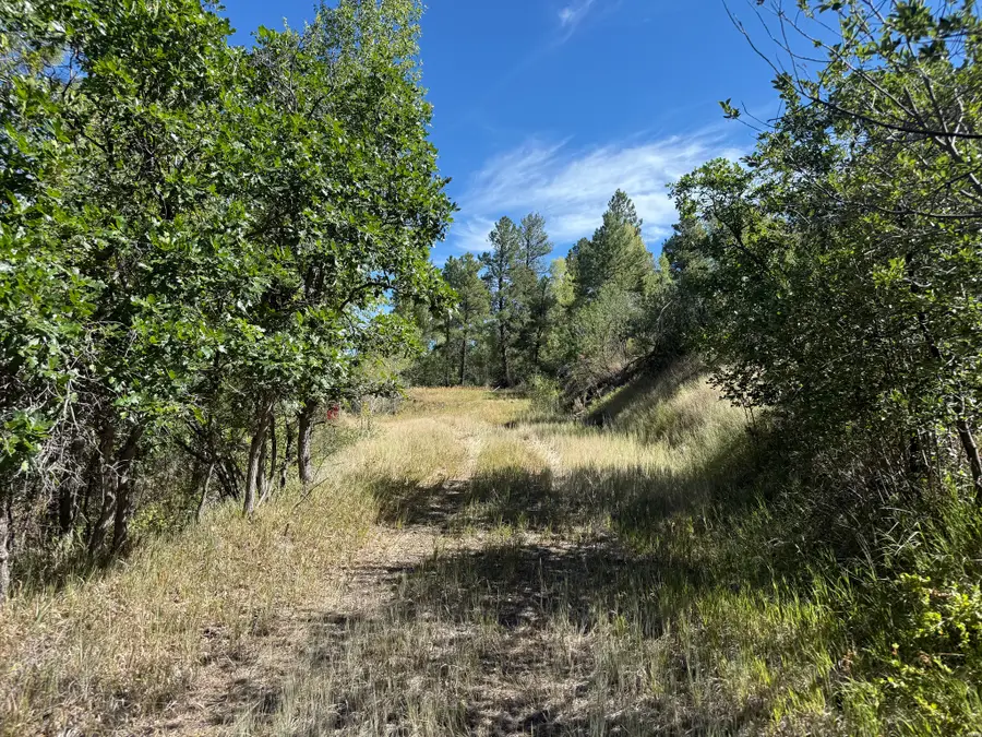 0, Chama, NM 87520 - #3