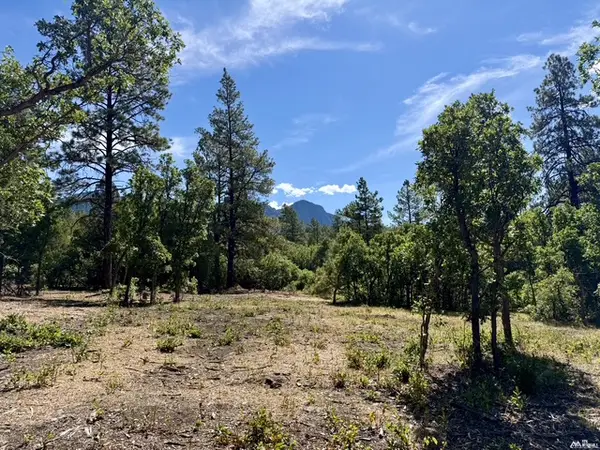 67 Private Dr 1755, Chama, NM 87520